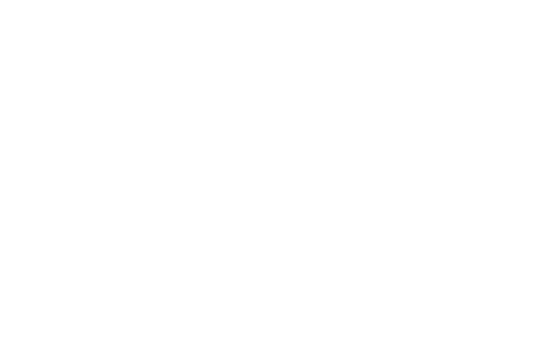 The Gentleman Designer